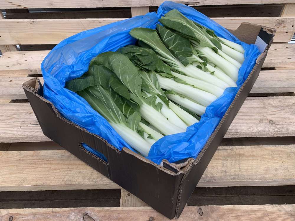 Organic Pak Choi 12 units
