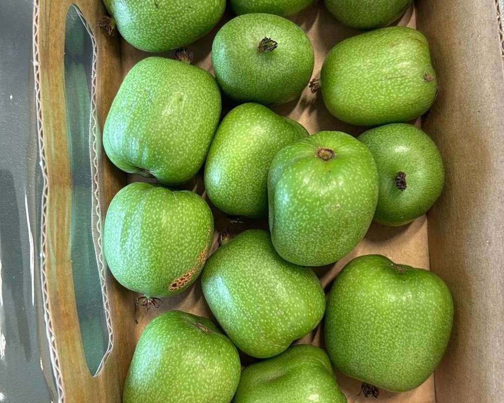 Organic Kiwiberry