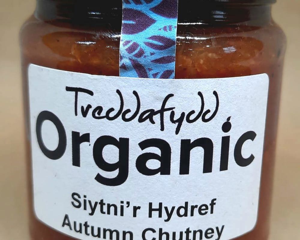 Treddafydd Organic Autumn Chutney 230g