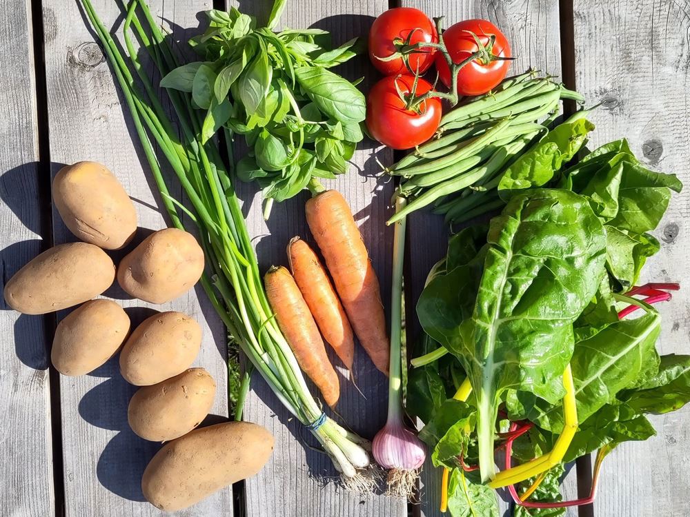 Veg Box - Standard