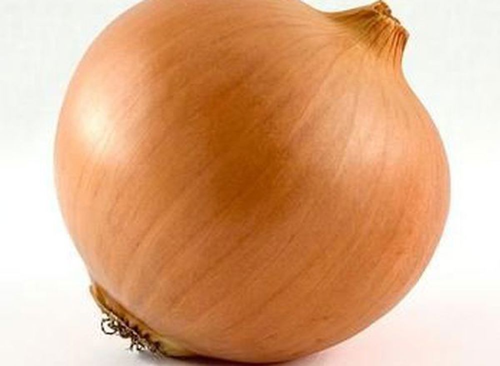 Onion: Brown