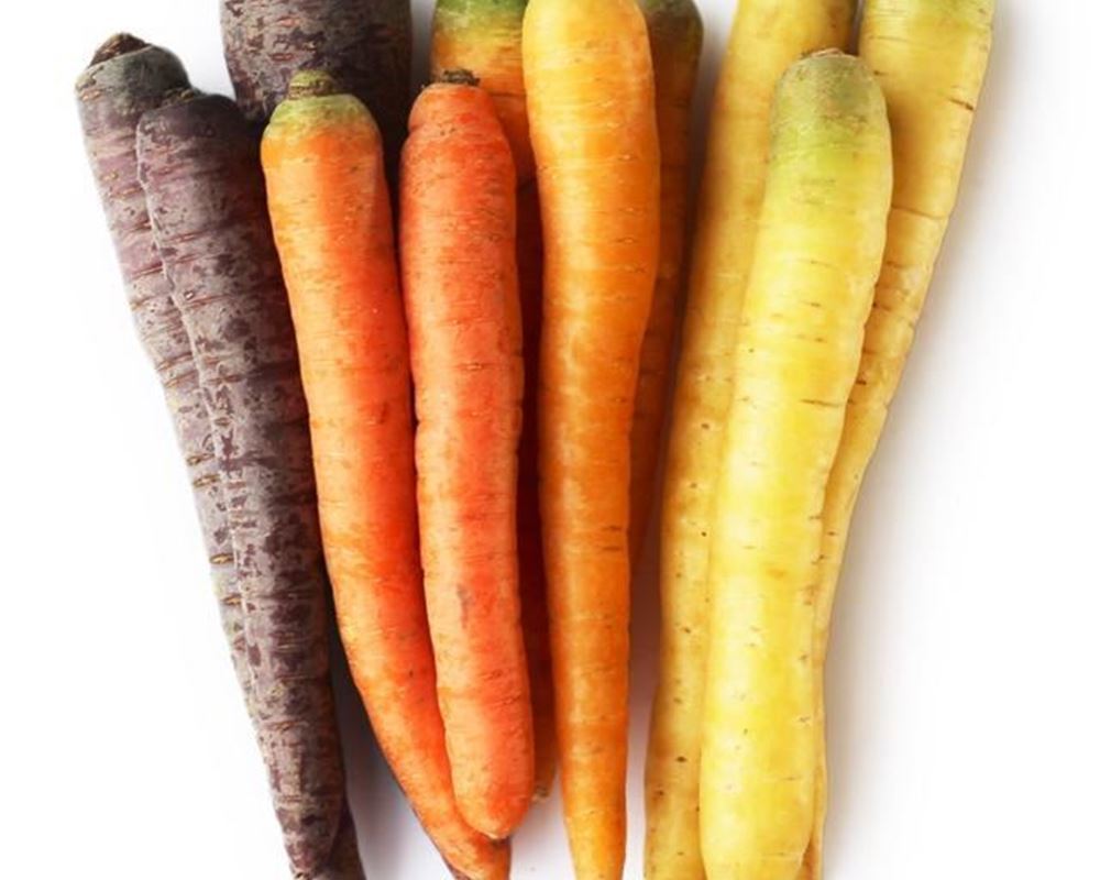 Carrot - Rainbow (Lancashire, UK)