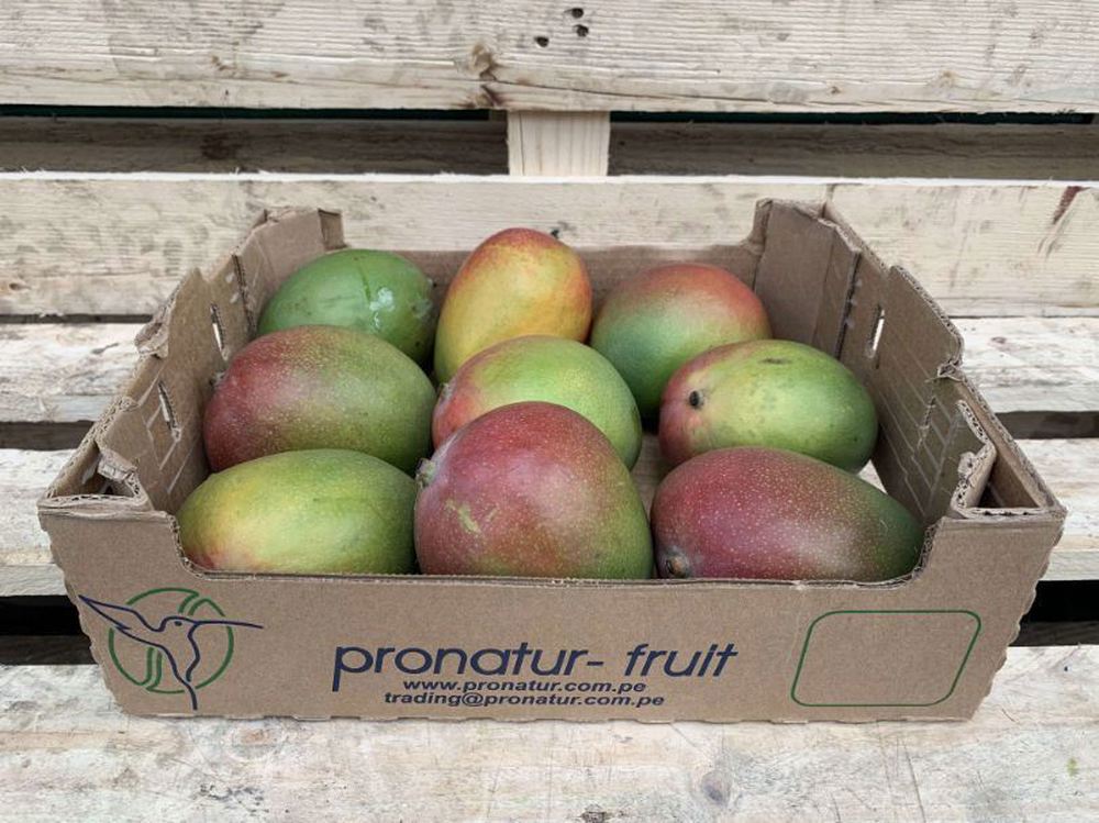 Mango - (Spain)