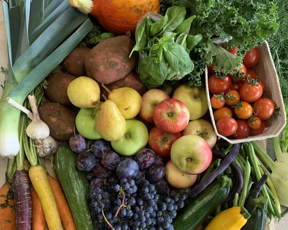 Bumper Organic Veg Bag
