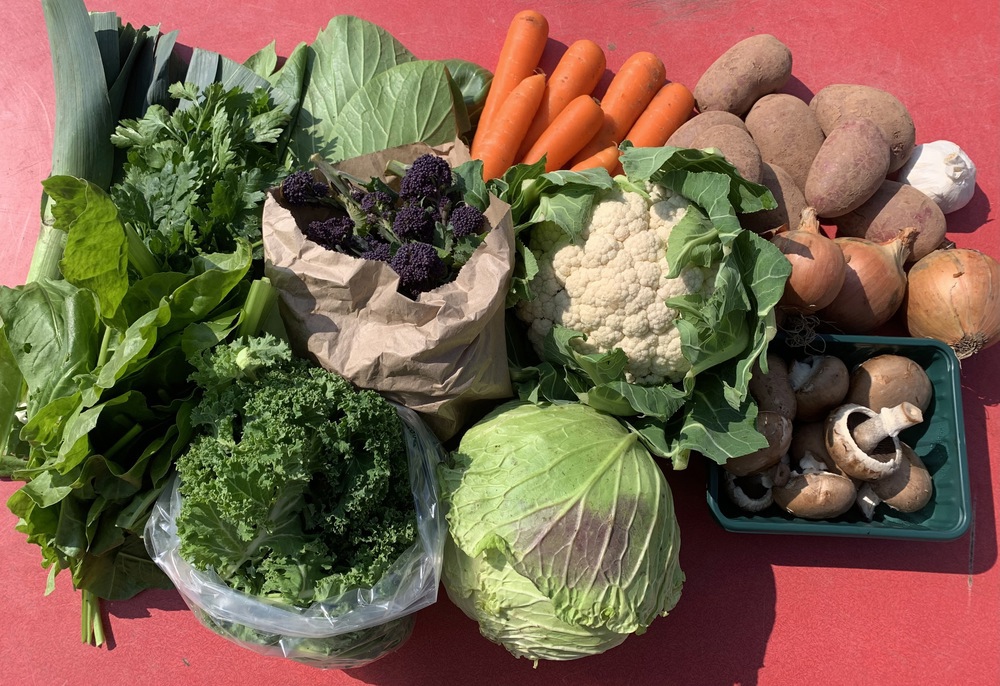 Bumper Organic Veg Bag