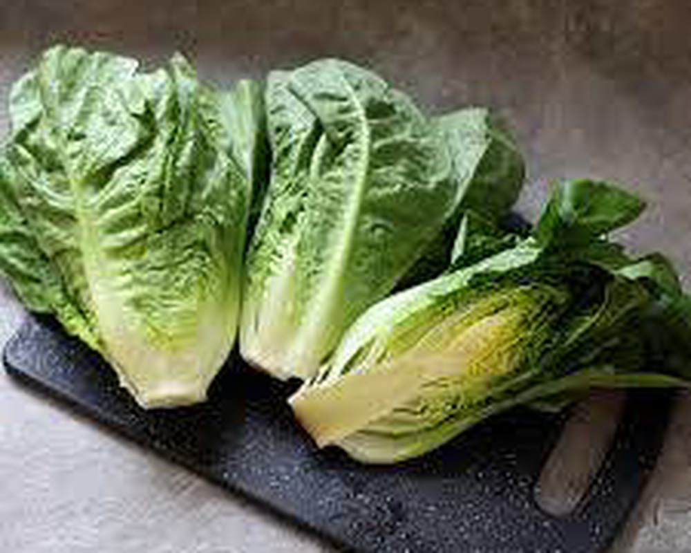 Lettuce - mixed, British, organic