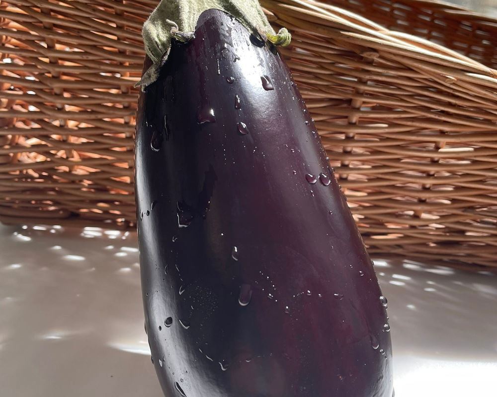 Aubergine