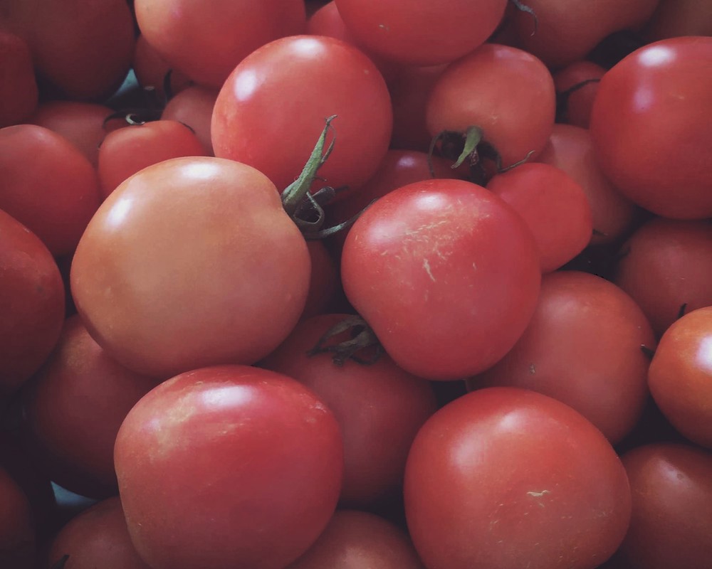 Salad Tomatoes