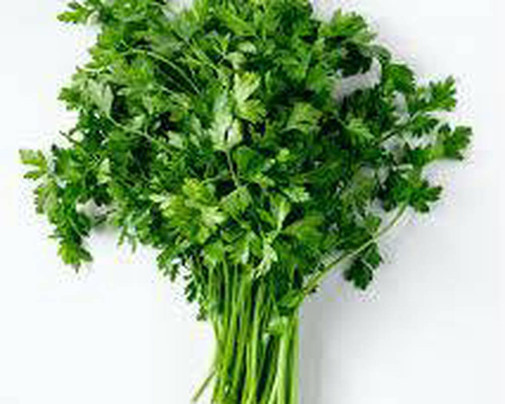 Parsley - fresh organic