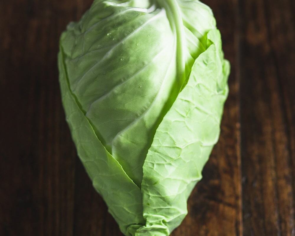 Organic Pointy Cabbage