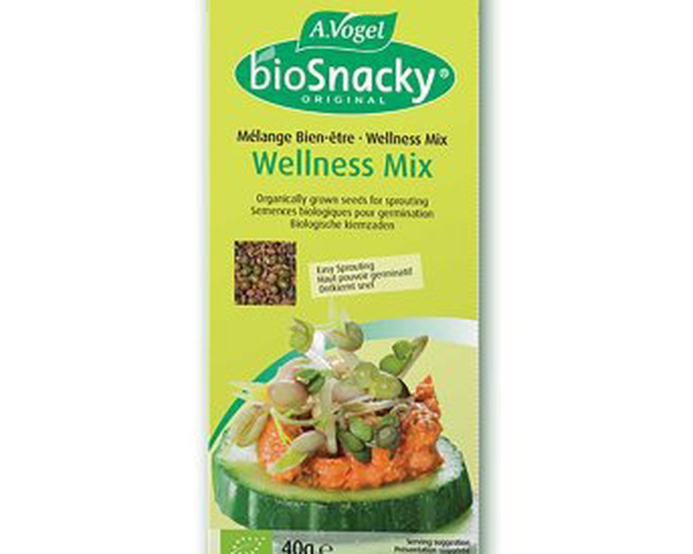 A. Vogel Wellness Mix