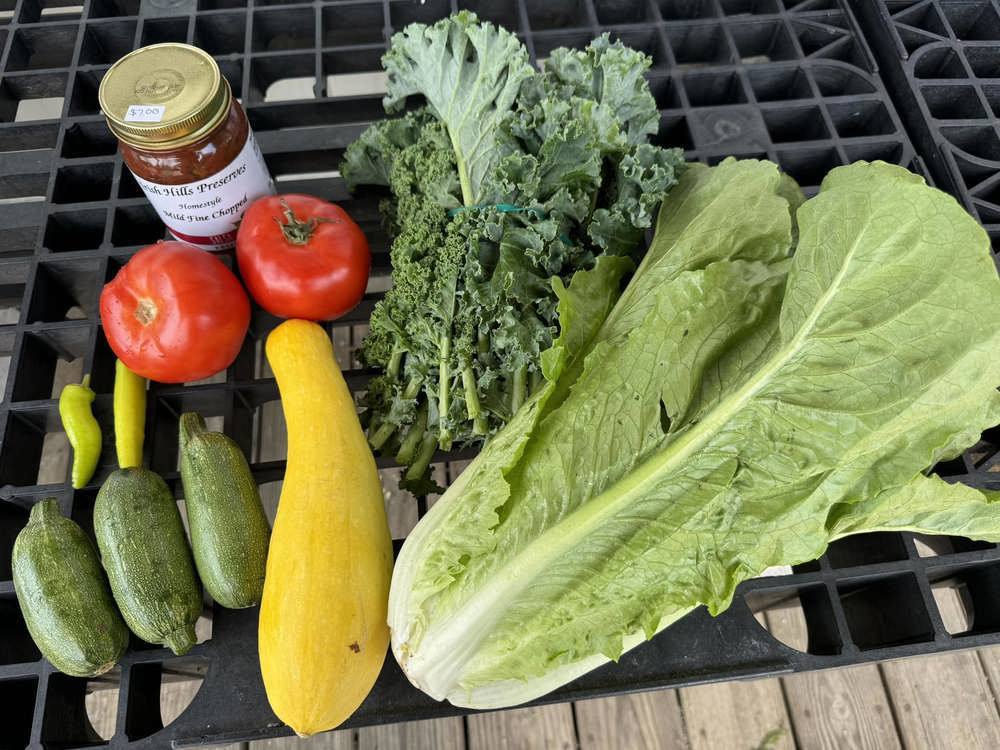 Weekly 4 Person Veggie Box