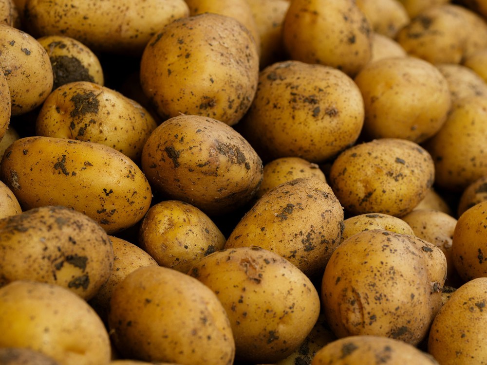 Organic UK  Potatoes