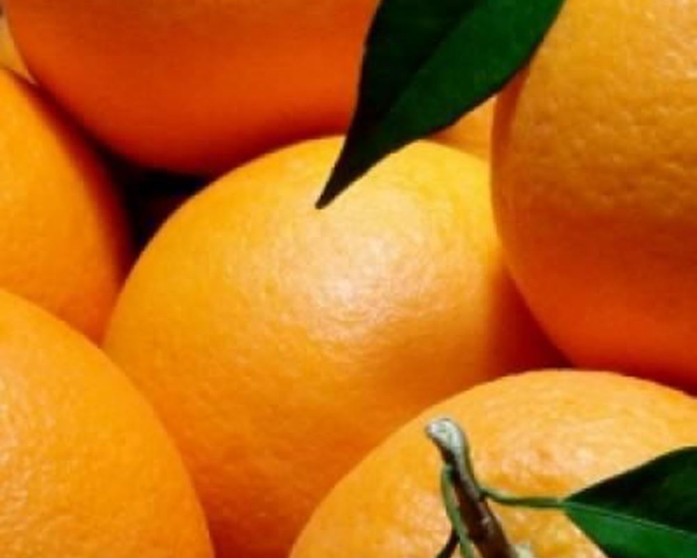 Oranges 500g