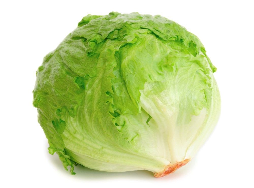 Lettuce: Iceburg