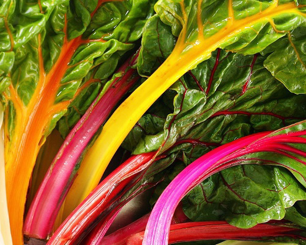 Organic Chard