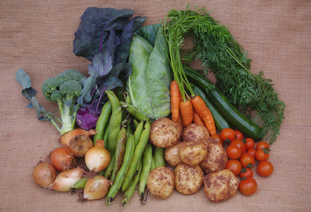 Large Organic Veg Box