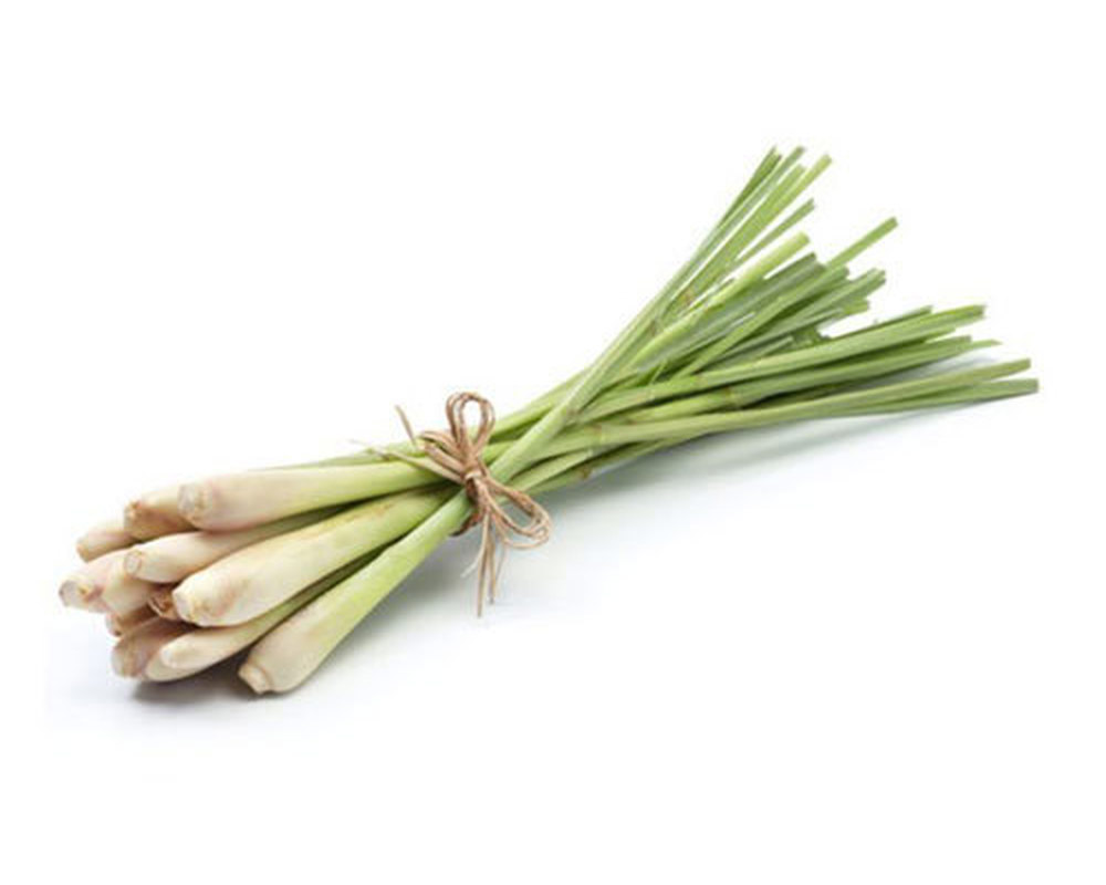 Lemon Grass Bunch