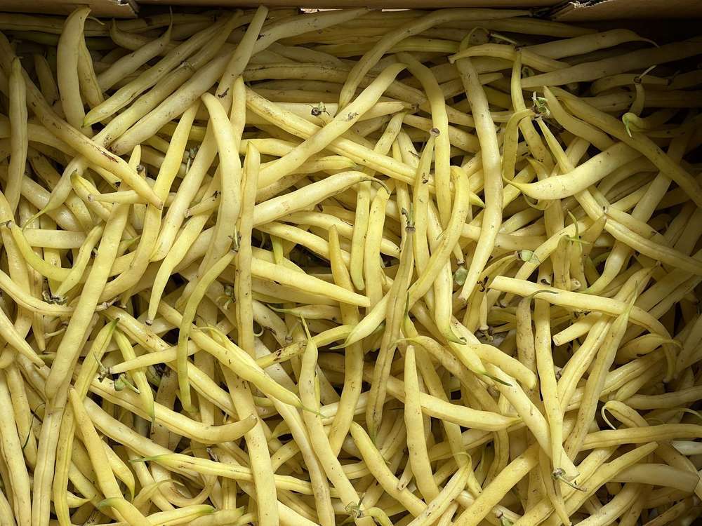 Organic French Beans Yellow(250g)
