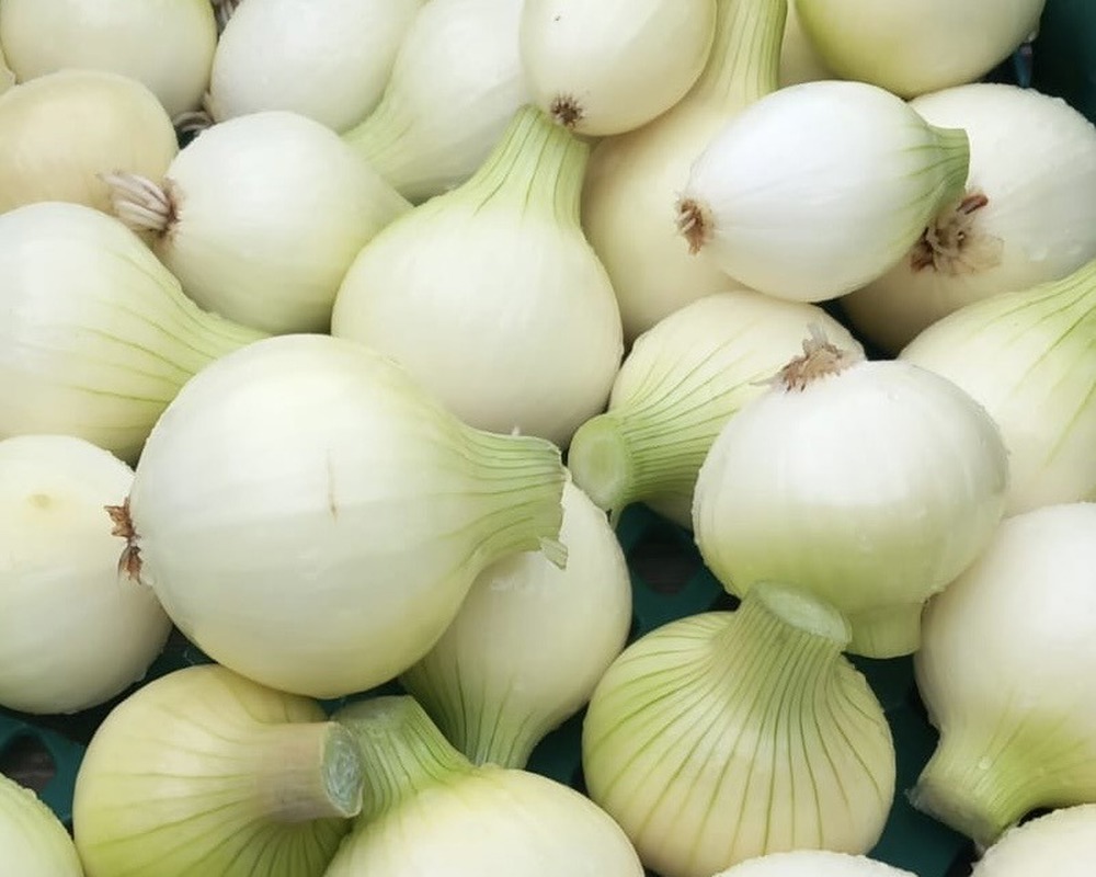 Fresh White Onions