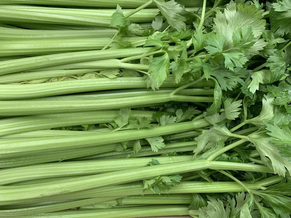 Organic Celery