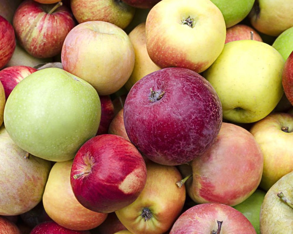 Organic UK Apples