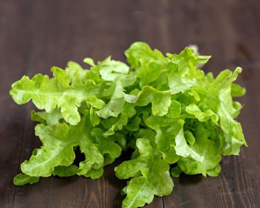 Lettuce