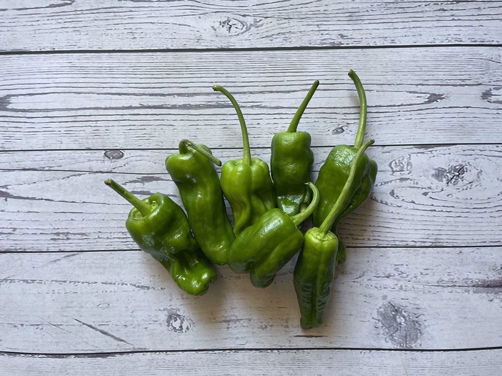 Padron Peppers