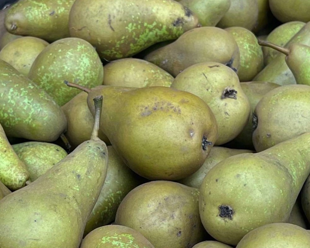 UK Grown Organic Pears (750g)