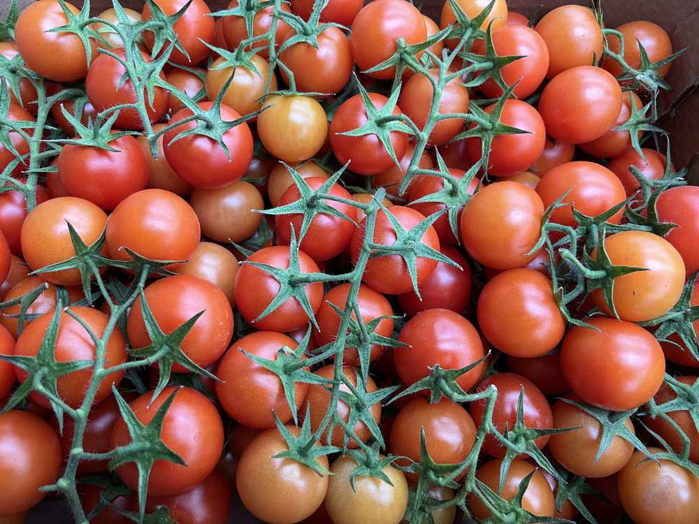 Organic Tomatoes Cocktail Vine (500g)