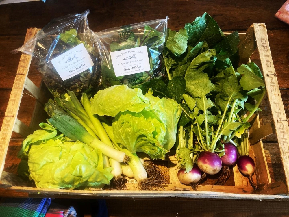 Small Seasonal Veg Box