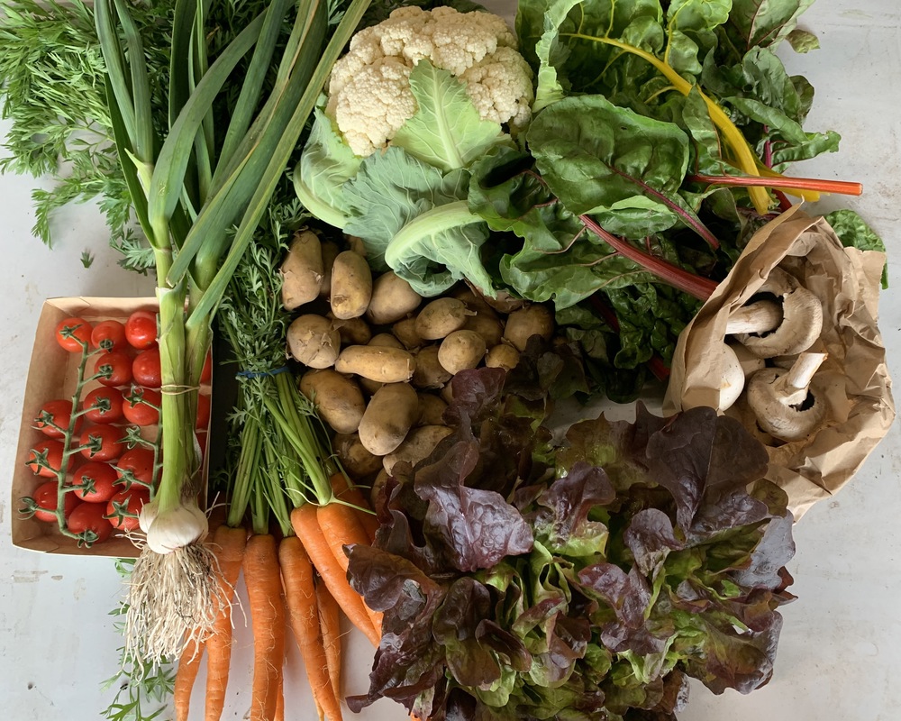 Medium Organic Veg Bag