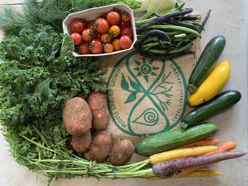 Medium Organic Veg Bag