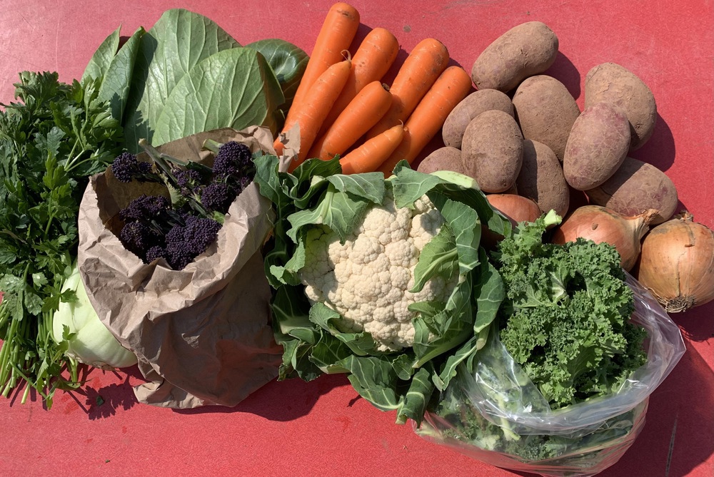 Medium Organic Veg Bag