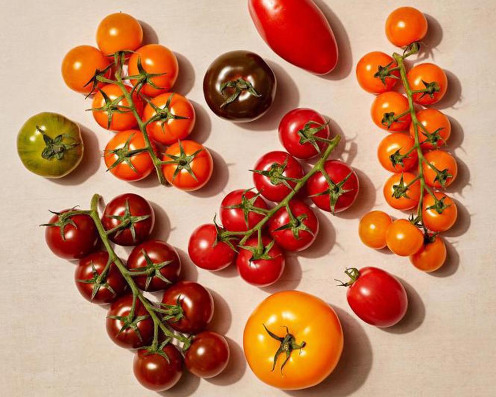 vTomatoes Heirloom IOW