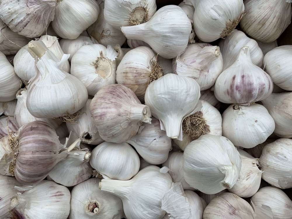 Garlic - 100g