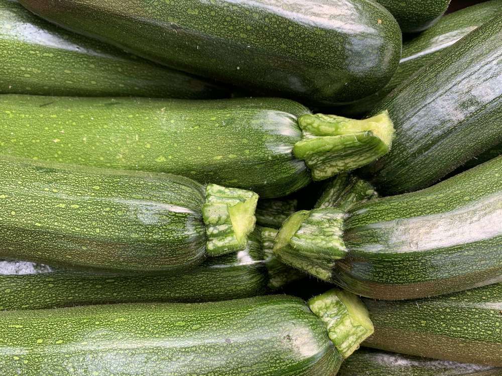 Courgette