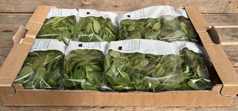 Spinach