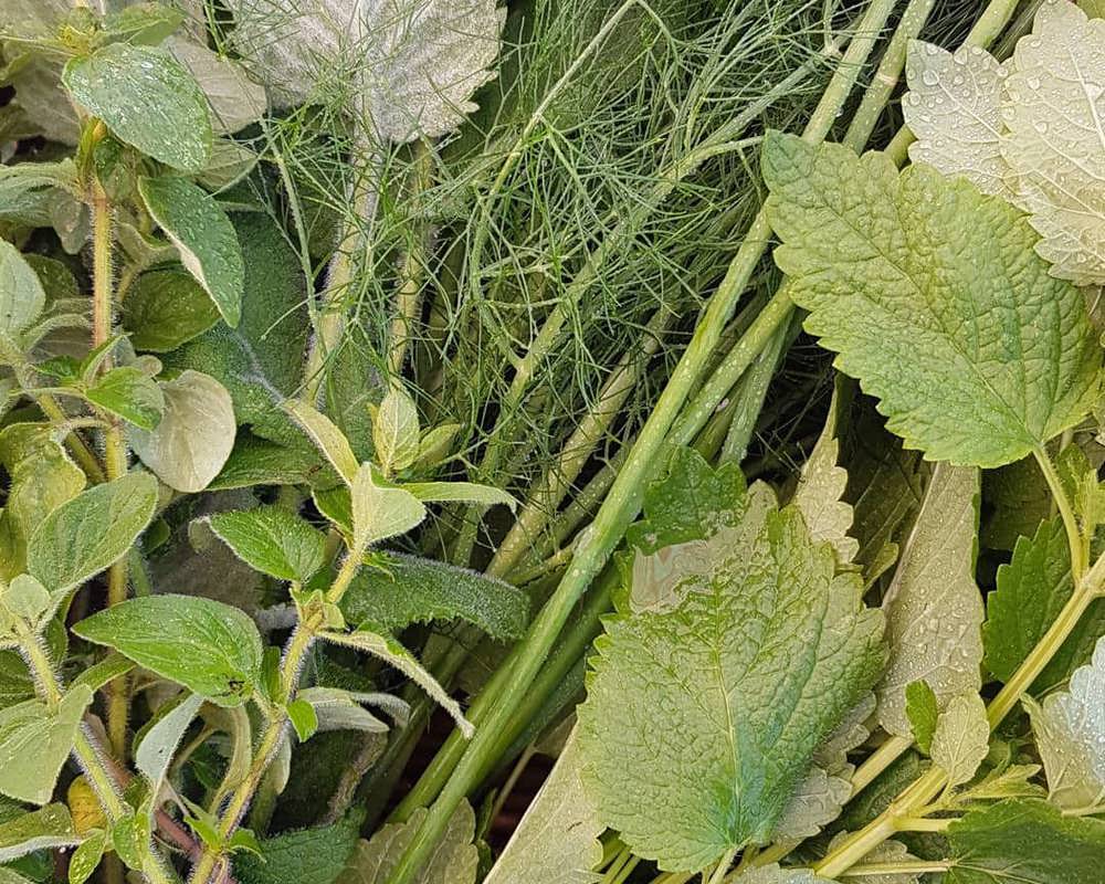 seasonal herb bunch