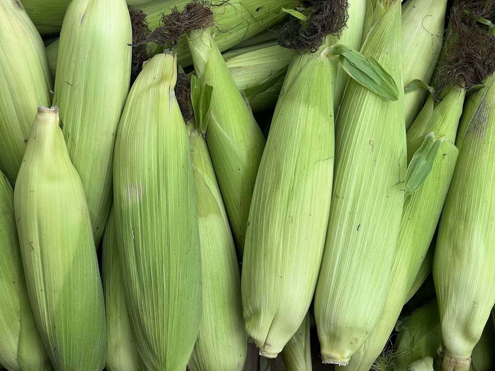 Sweetcorn: Fresh