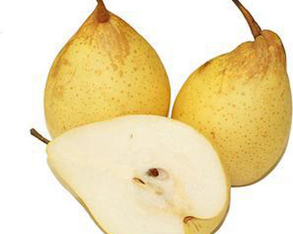 Pear: Yali