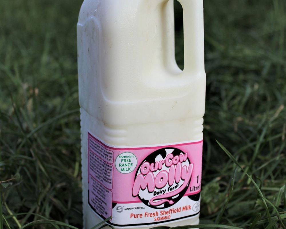 Our Cow Molly Skimmed Milk, 1L
