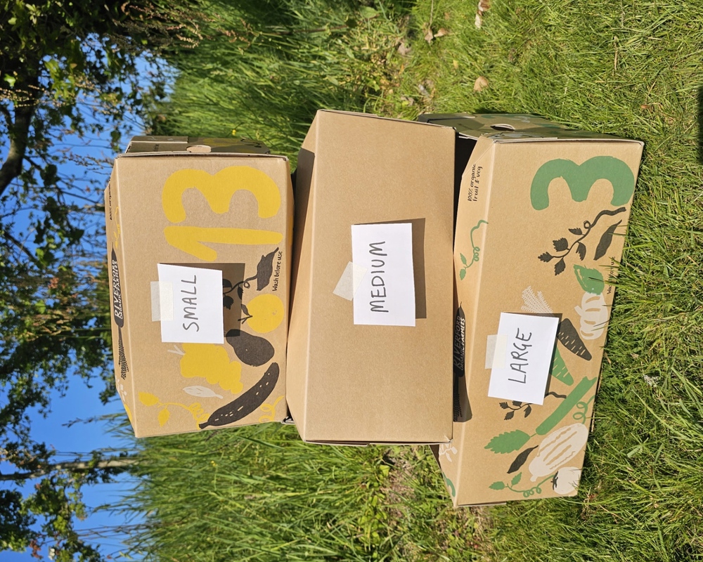 Lomah Veg Box