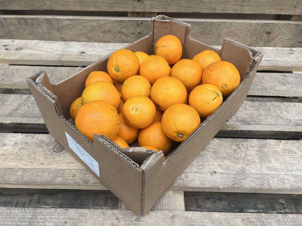 Organic Orange