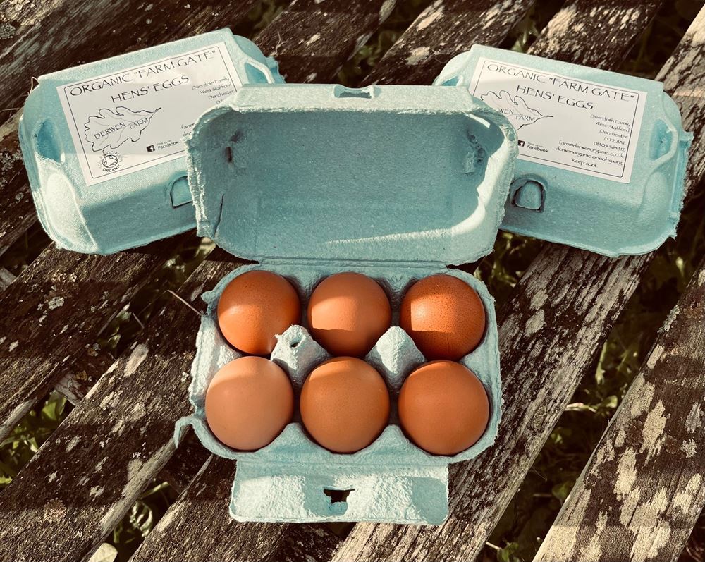Eggs 18, Community Share Donation