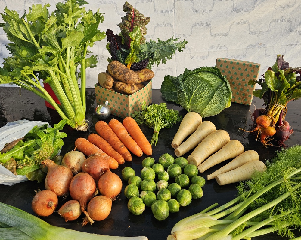 Organic Christmas veg box - Medium (13 items)
