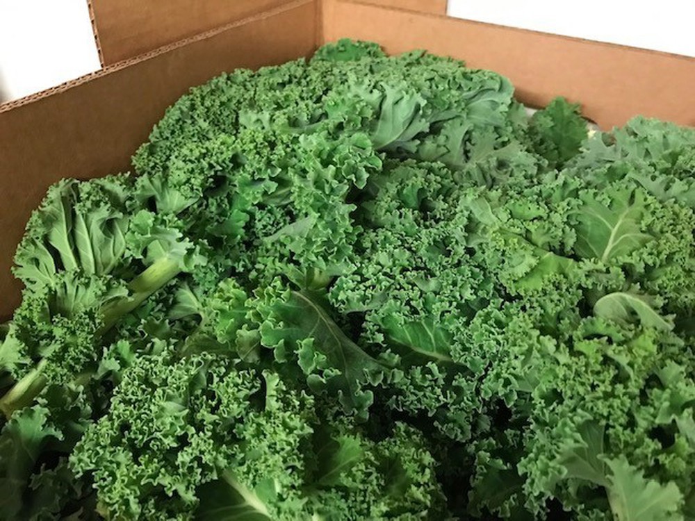 Organic Curly Kale