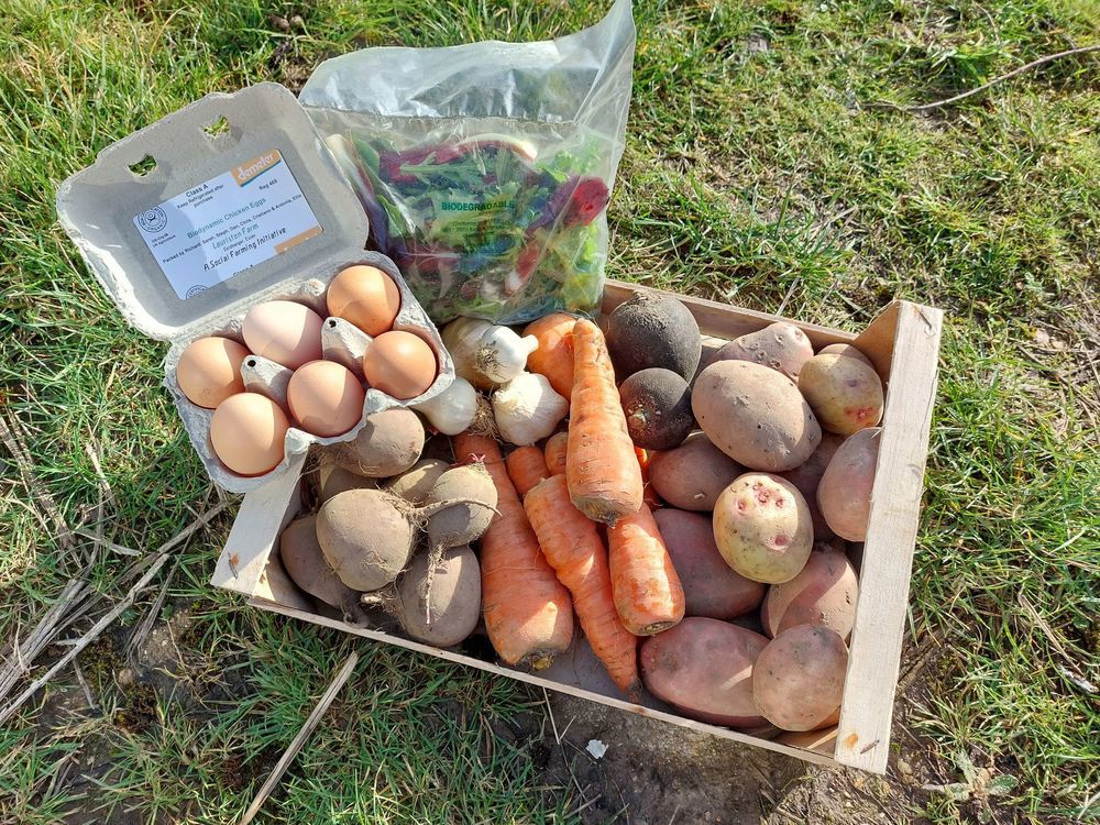 Winter Roots Veg Box