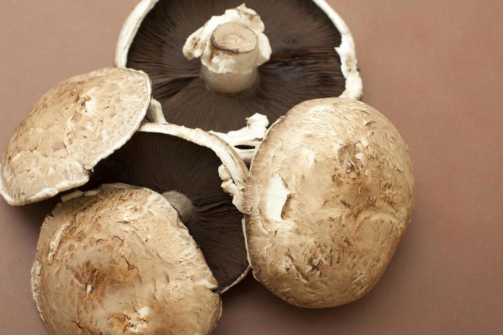 Mushroom: Portobello