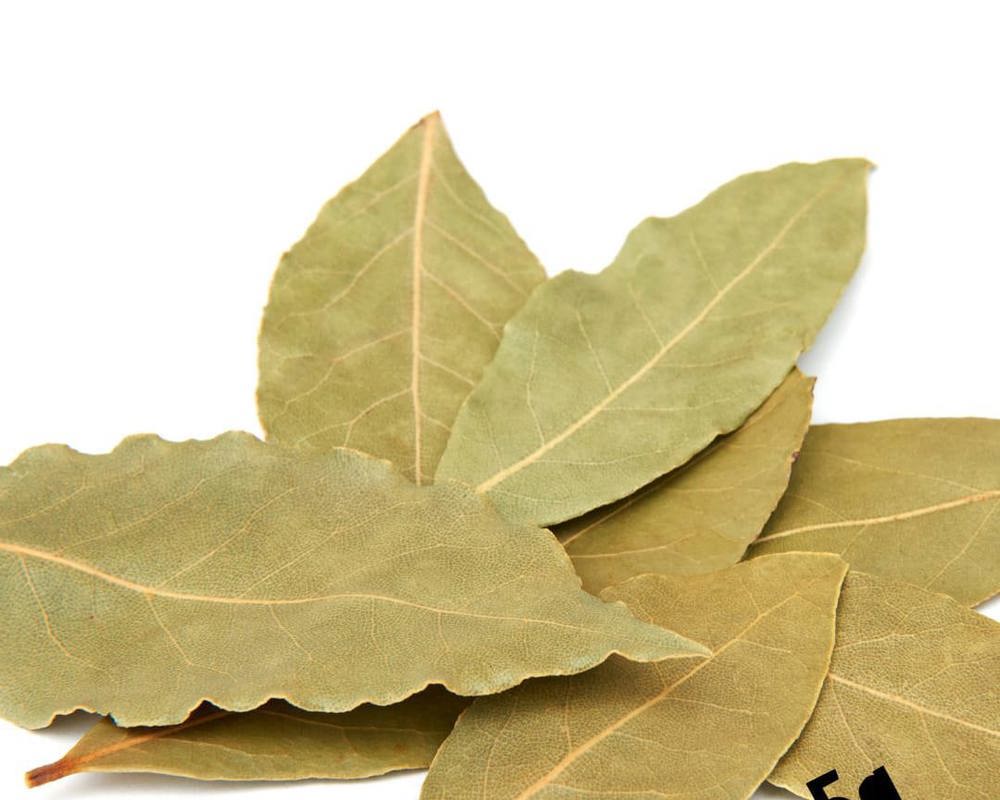 Bay Leaves